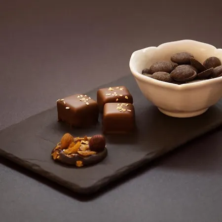 La Maison De Karen Chocolat Bed & Breakfast Limonest